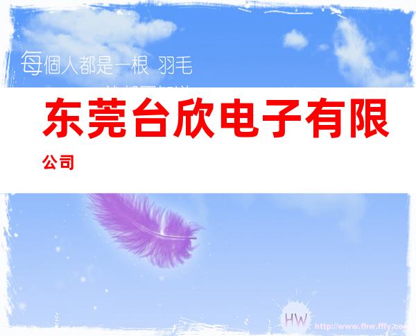 东莞台欣电子有限公司